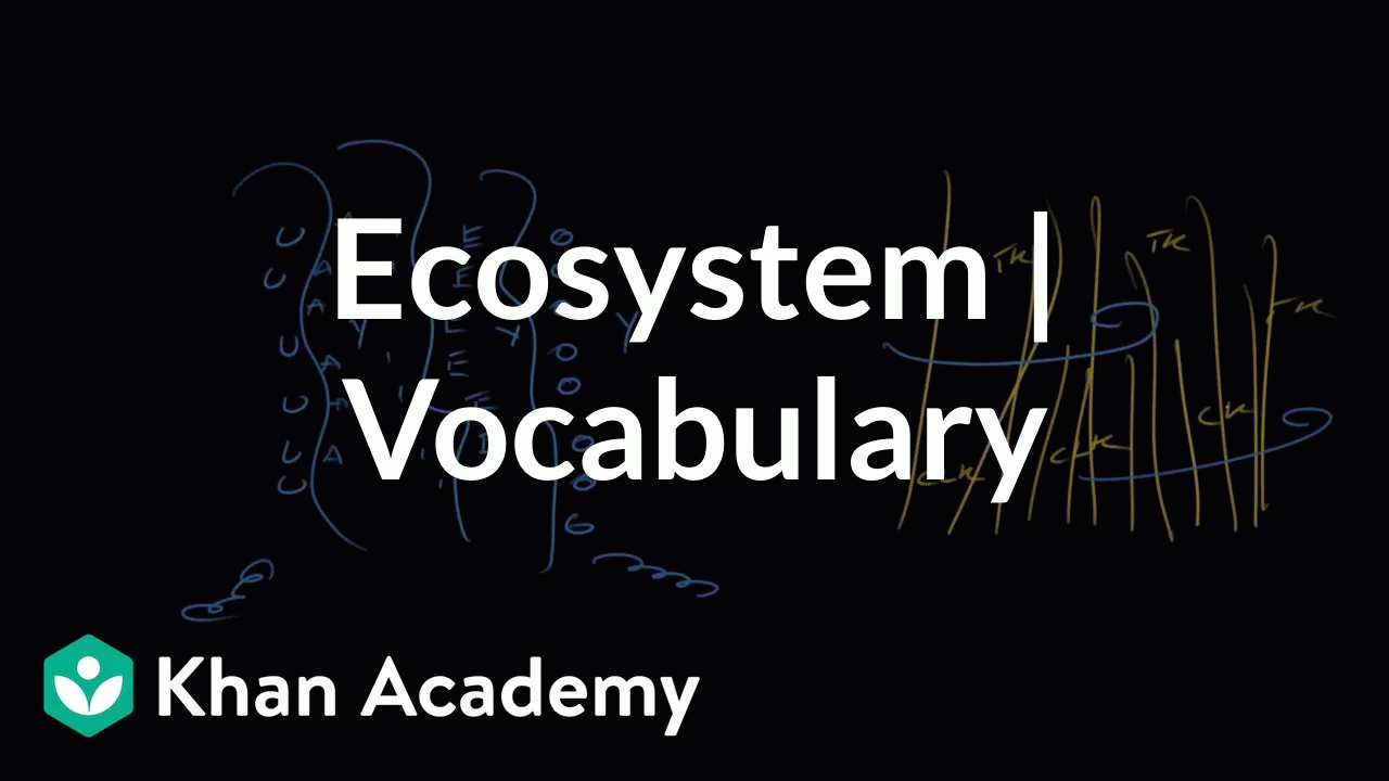 Ecosystem | Vocabulary | Khan Academy