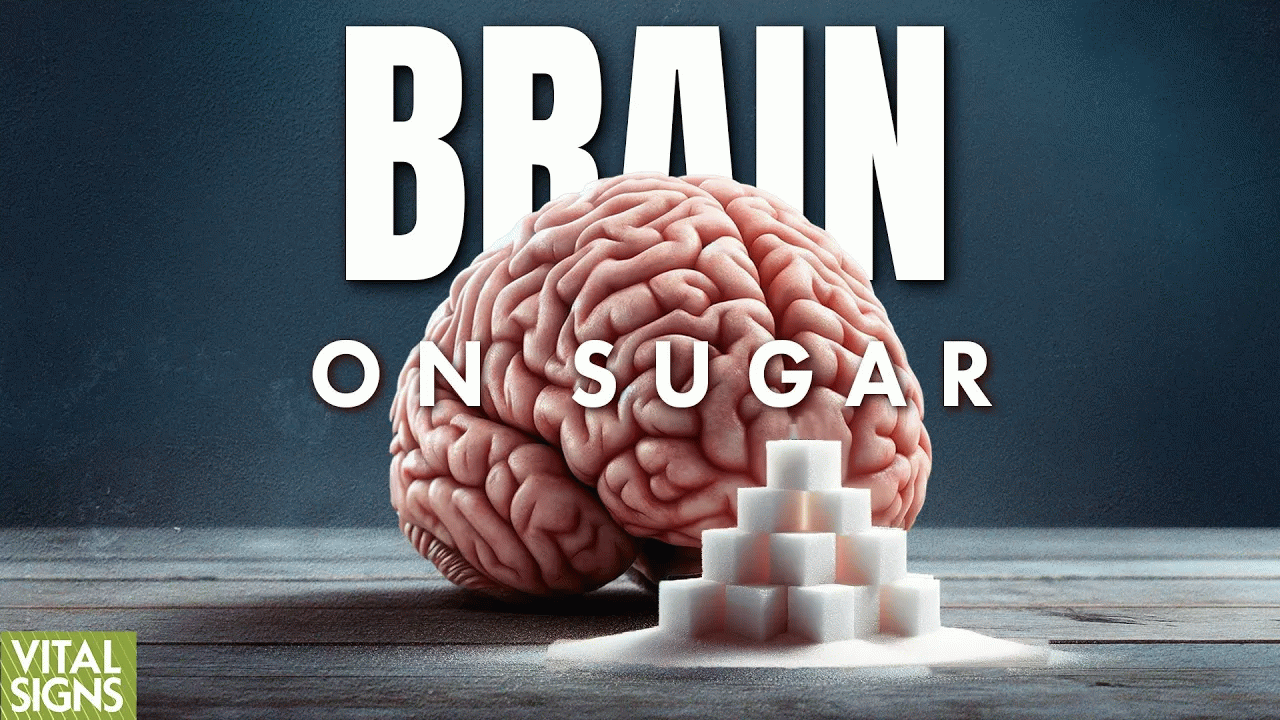 How Sugar Is Both ‘Brain Saver’ and Toxin: The Truth About Artificial Sweeteners | Trailer