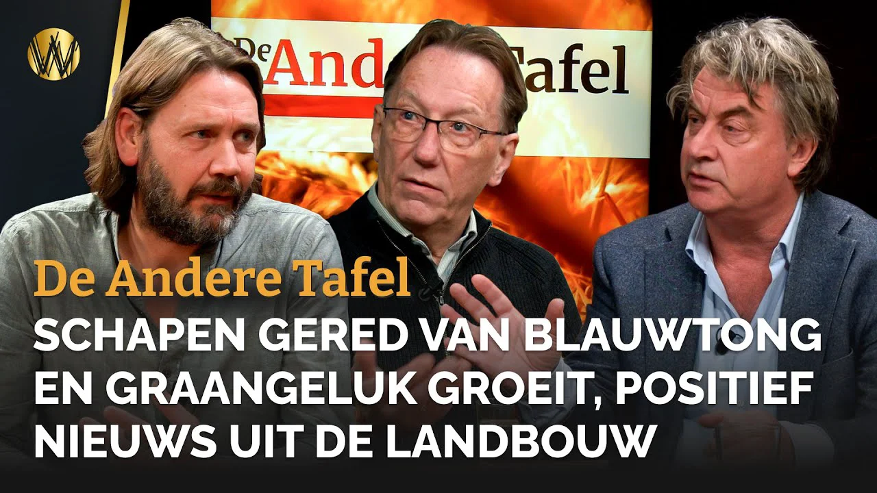 Schapen gered van blauwtong en Graangeluk groeit, positief nieuws uit de landbouw